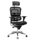 Best Ergonomic Desk Chair