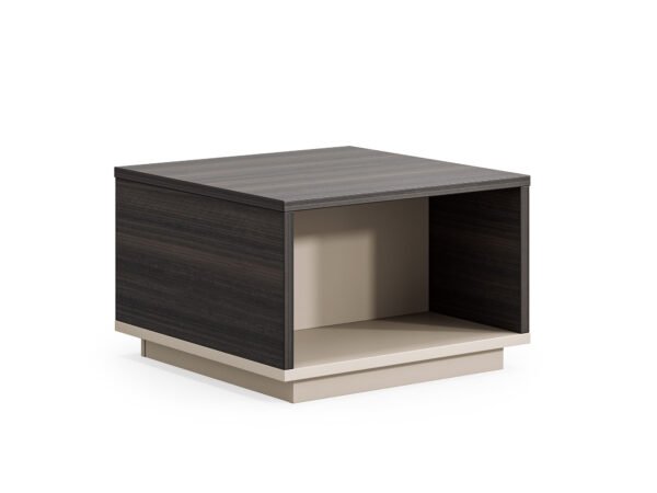 Luxury Coffee Table - Image 1