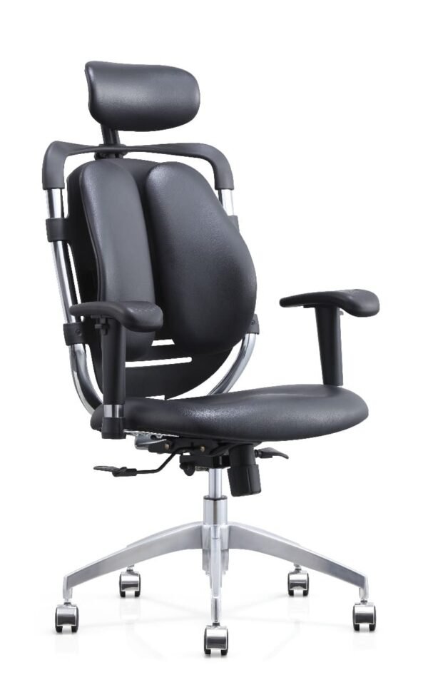 Double Back Leather Office Chair - Image 3