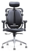 Double Back Leather Office Chair