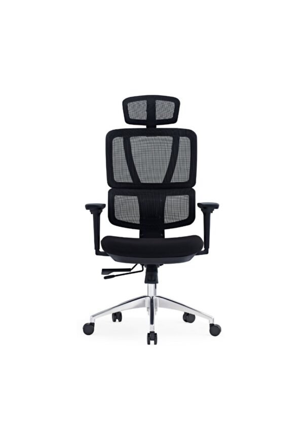 Ergonomic Office Chair - Image 1