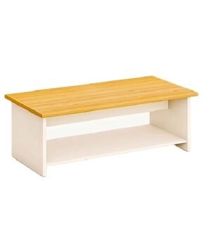 Sleek Modern Coffee Table